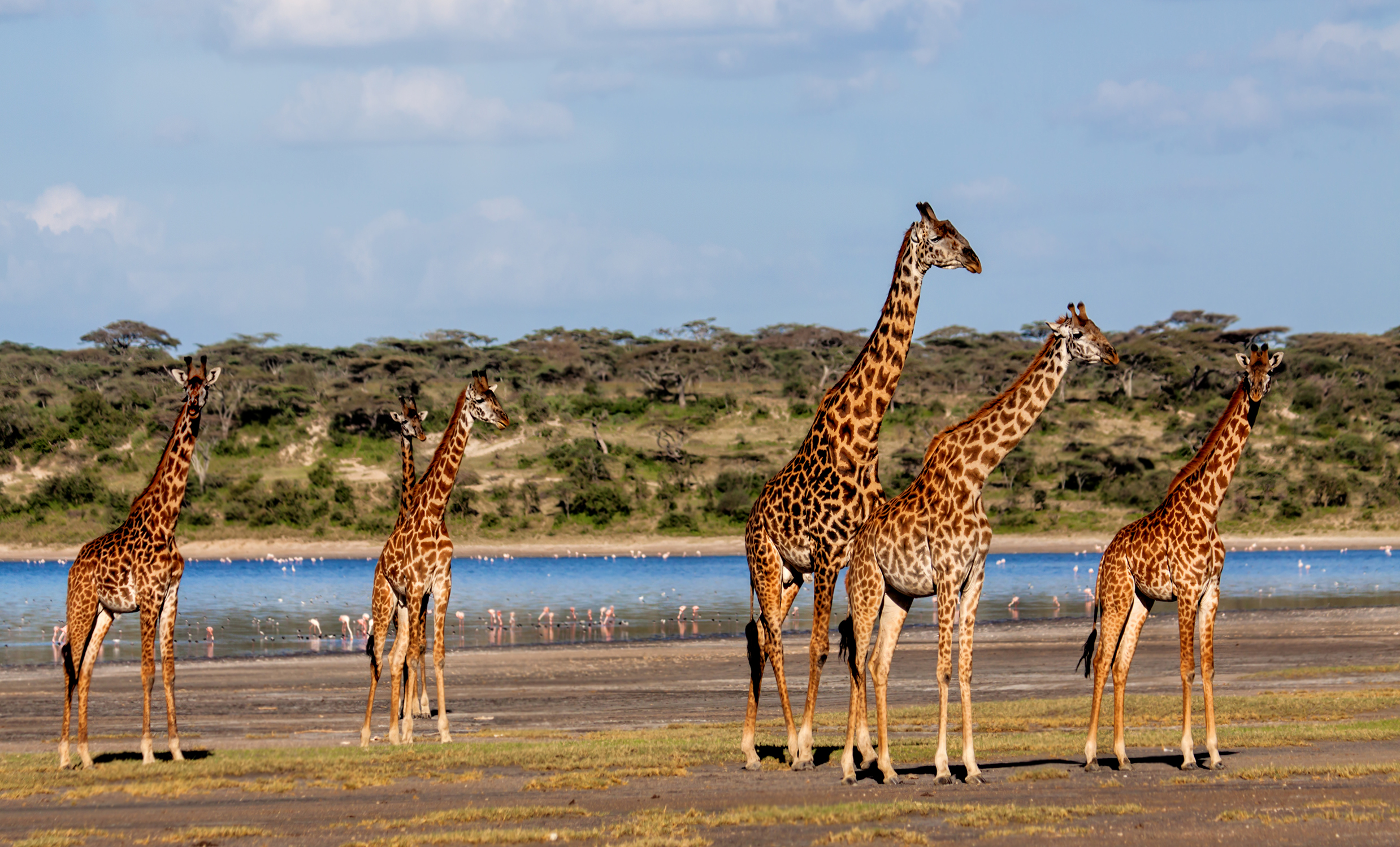 tanzania day trips