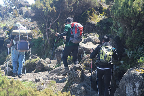 Kilimanjaro Marangu Route