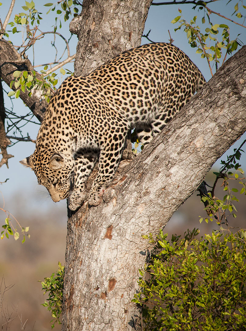 Serengeti National Park